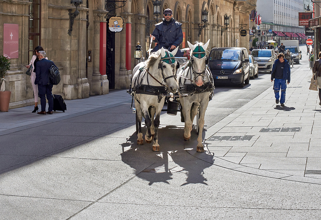 Herrengasse © Toni Rappersberger