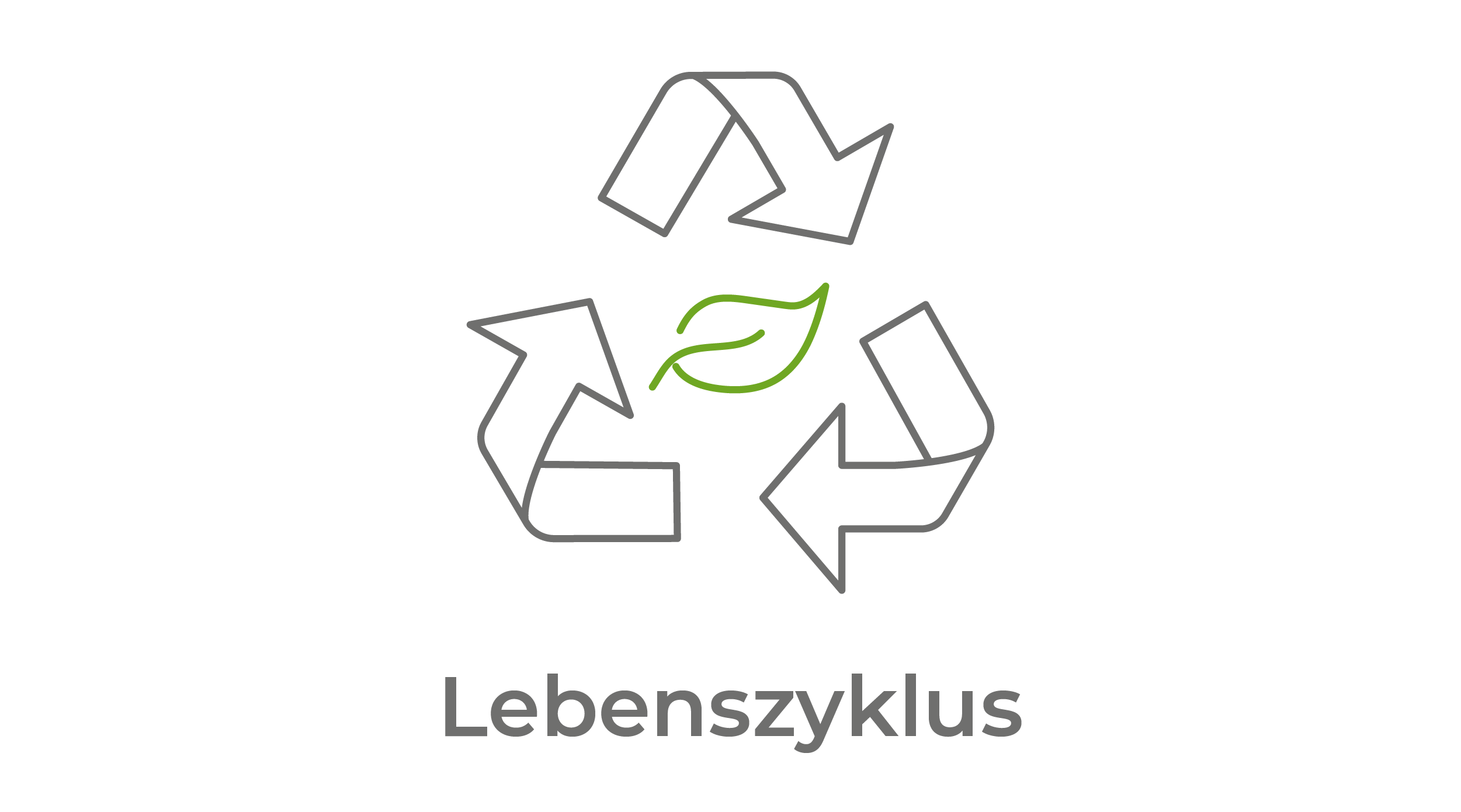 Lebenszyklus